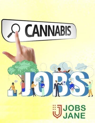 ad image top illinois dispensaries Top Illinois Dispensaries banner cannabis jobs jane 2021