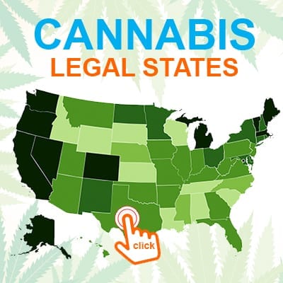 not found best weed stores near me Best Weed Stores Near Me banner mmj legal states