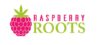 Raspberry Roots
