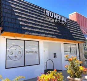 Sundial Collective W...