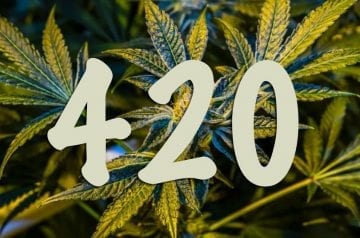 420 Meaning: The True Story Of How April 20 Became ‘Weed Day’
