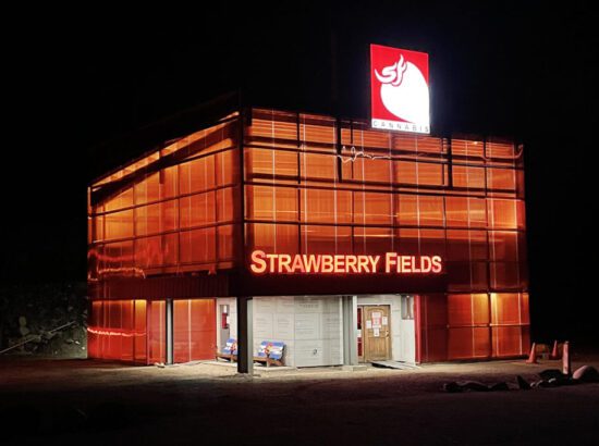 Strawberry Fields – Dumont 