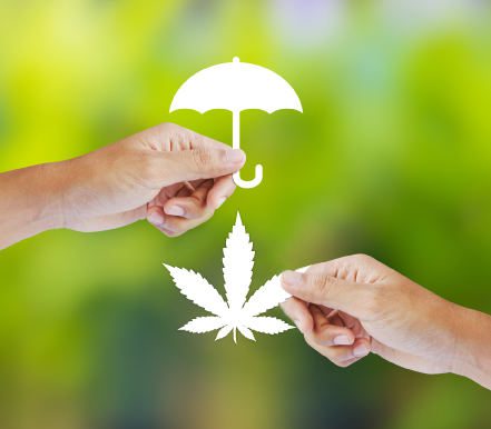 U.S. cannabis insurers get ready to roll as federal legalization nears