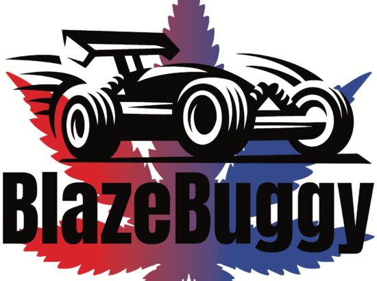 Blaze Buggy Delivery 