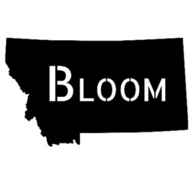 Bloom MT – Gle...